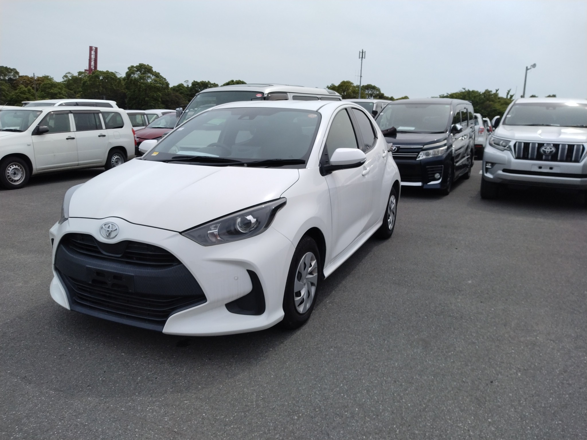 TOYOTA YARIS